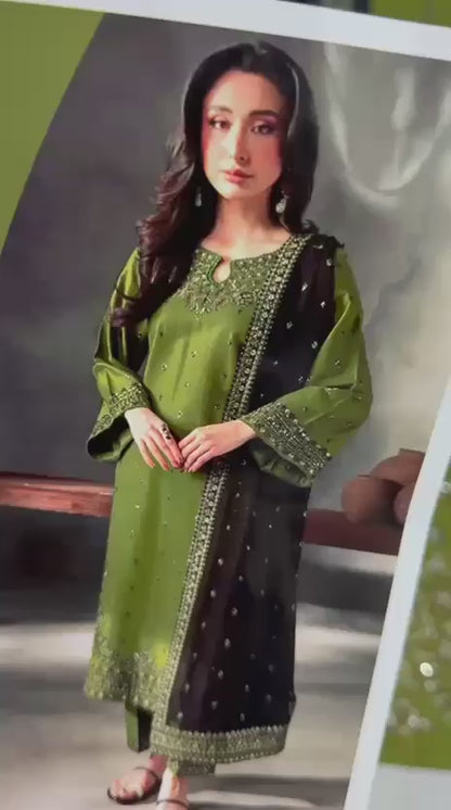 Ladies elegant dress Dhanak