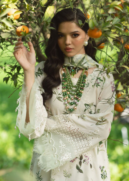 SARDINIA LUXURY CHICKEN KARI COLLECTION 2026, HIGH QUALITY FABRIC