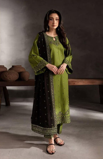 Ladies elegant dress Dhanak