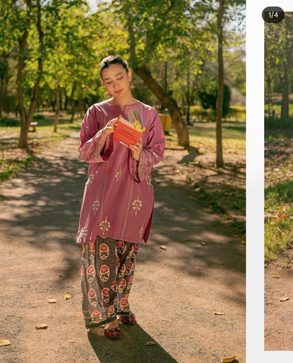 Lawn 2 PC*Embroidered shirt and Sleeves*