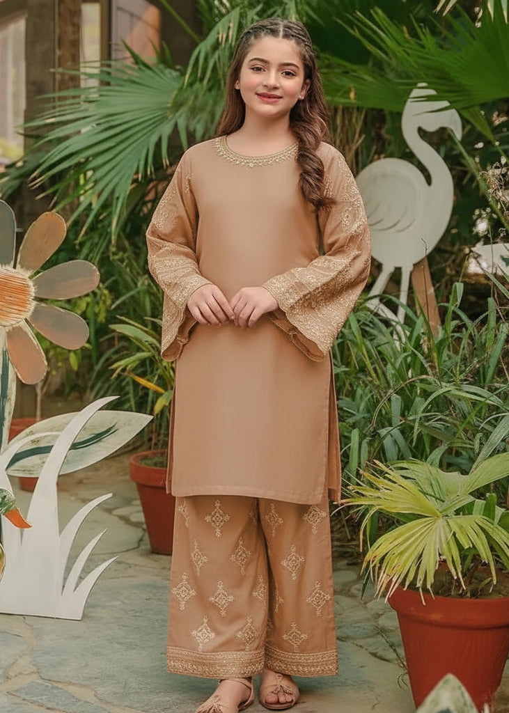 Girls cotton embroidered shirts and trouser 2PCS