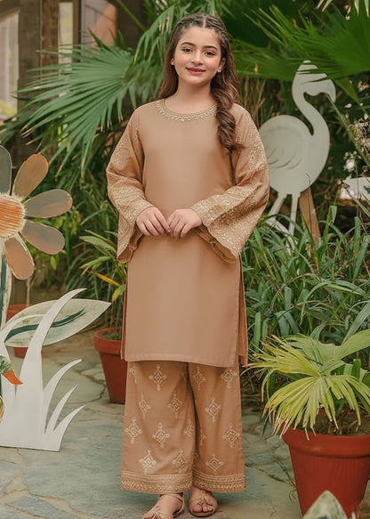 Girls cotton embroidered shirts and trouser 2PCS