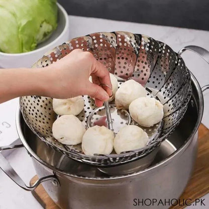 Steamer for steam roast chicken